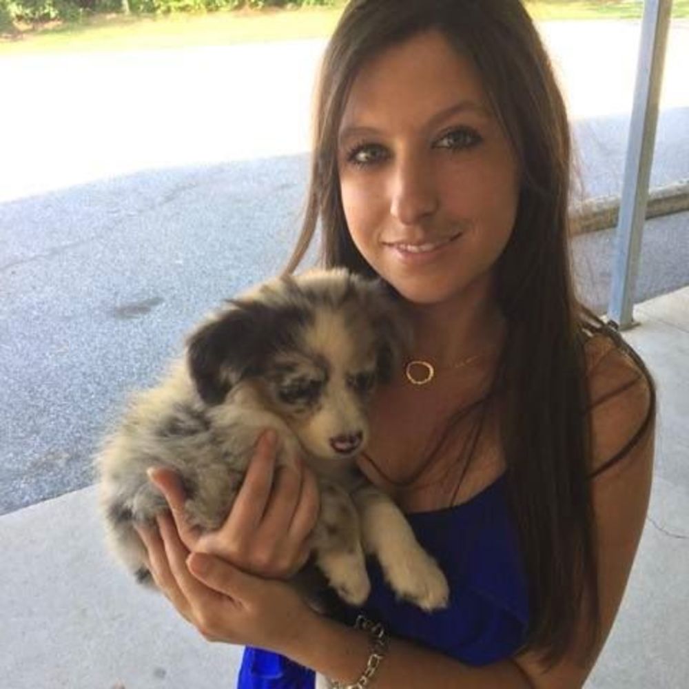 Meet your Posher, Karsin